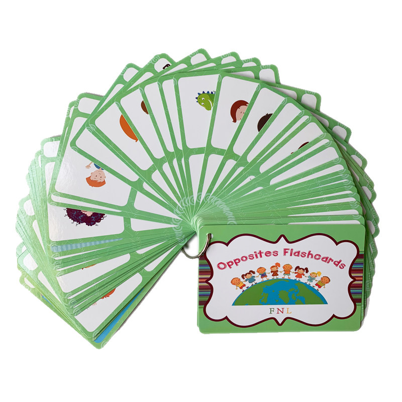 Kids Toys Learning - 100 cartes mémoire sur les groupes